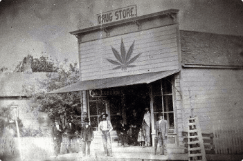 Kentucky cannabis history
