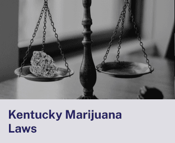 Kentucky Marijuana Laws.png